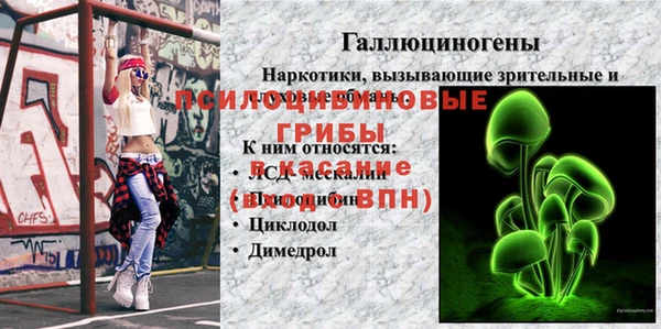 амфетамин Анива