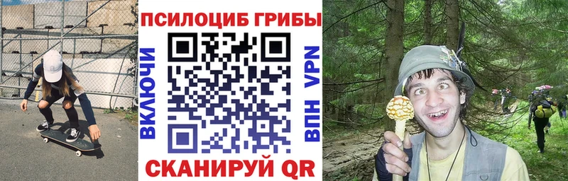 цены наркотик  ссылка на мегу рабочий сайт  Галлюциногенные грибы GOLDEN TEACHER  Ртищево 