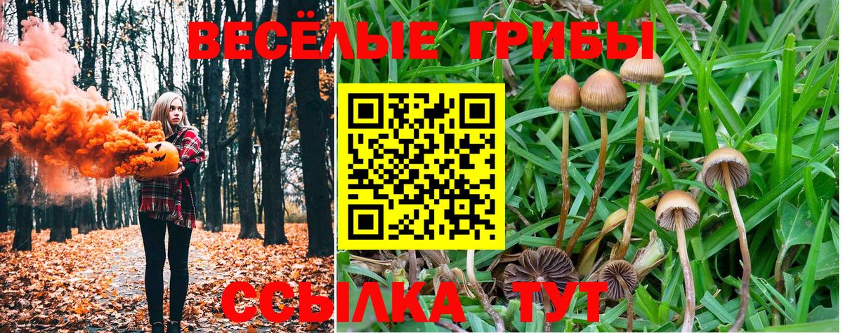 где найти   Псилоцибиновые грибы мухоморы  Ртищево  Вход с VPN  Галлюциногенные грибы MAGIC MUSHROOMS 